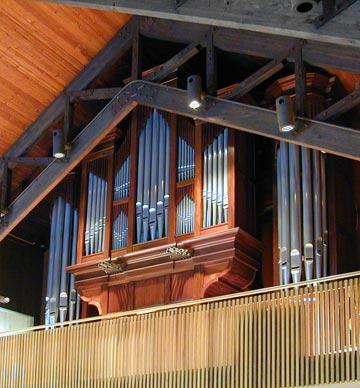 random organ photo