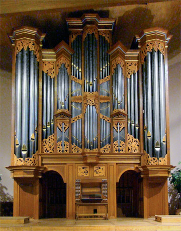 random organ photo