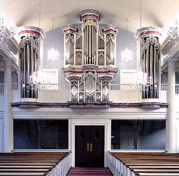 random organ photo