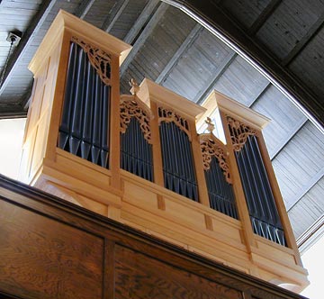 random organ photo