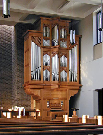 random organ photo