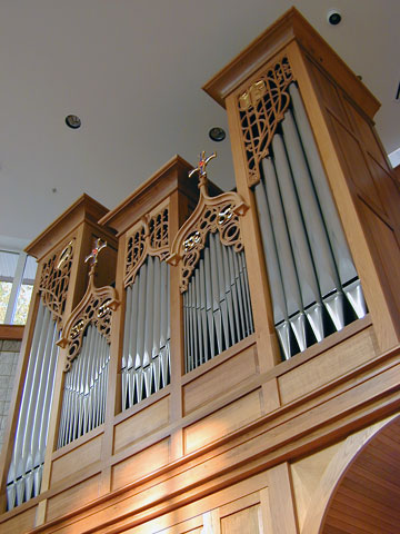 random organ photo