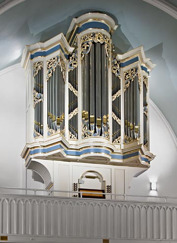 random organ photo