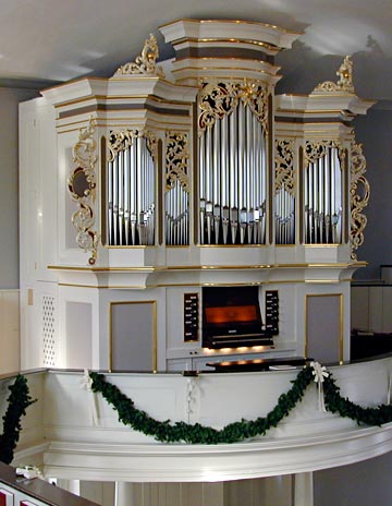 random organ photo