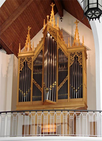 random organ photo