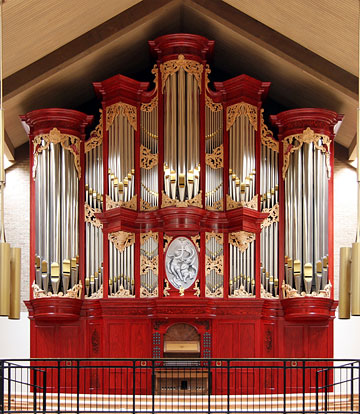 random organ photo