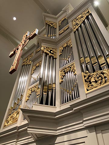 random organ photo