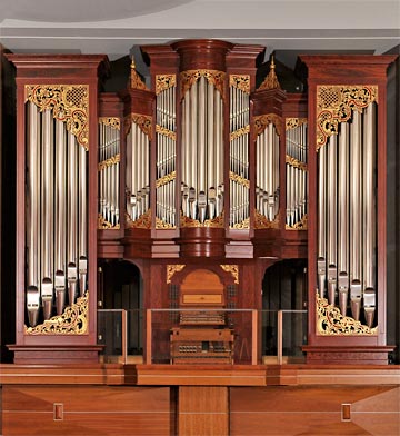 random organ photo